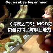 《博德之门3》MOD恢复删减物品与职业能力（图4）
