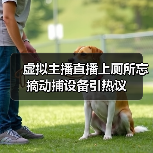 虚拟主播直播上厕所忘摘动捕设备引热议