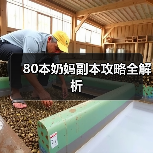 80本奶妈副本攻略全解析（图4）