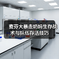 麦芬大暴走奶妈生存战术与队伍存活技巧（图4）
