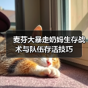 麦芬大暴走奶妈生存战术与队伍存活技巧（图2）