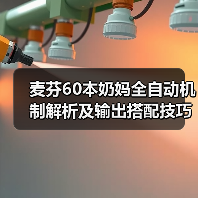 麦芬60本奶妈全自动机制解析及输出搭配技巧（图3）