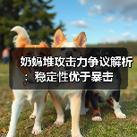 奶妈堆攻击力争议解析：稳定性优于暴击（图2）