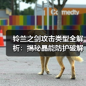 铃兰之剑攻击类型全解析：揭秘晶能防护破解方法（图2）