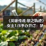 《英雄传说:黎之轨迹》女主1/