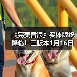 《完美音浪》实体版终降临！三版本1月16日开启预购（图4）