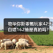 物华弥新零氪玩家42天白嫖162抽是真的吗？（图4）