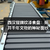 西汉狸猫纹漆食盘：揭开千年文物的神秘面纱（图4）