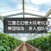 三国志幻想大陆老玩家带团指南：多人组队乐趣多 萌新也能快速上手（图3）