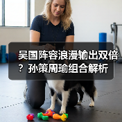 吴国阵容浪漫输出双倍？孙策周瑜组合解析