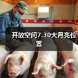 开放空间7.30大月亮位置