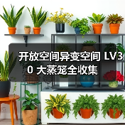 开放空间异变空间 LV30 大蒸笼全收集（图2）