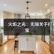 火炬之光：无限关于打宝
