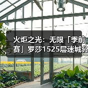 火炬之光：无限「季前赛」罗莎1525层迷城分享「迷城专攻」