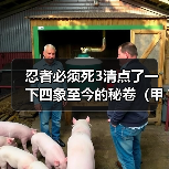 忍者必须死3清点了一下四象至今的秘卷（甲）