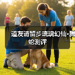 道友请留步琉璃幻仙•腾蛇测评（图3）