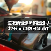 道友请留步琉璃星姬·井木犴(àn)&虚日鼠测评（图4）