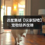 远星集结【玩家投稿】宠物培养攻略