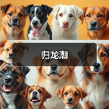 归龙潮(图2) 归龙潮(图2)