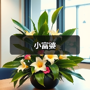 小富婆