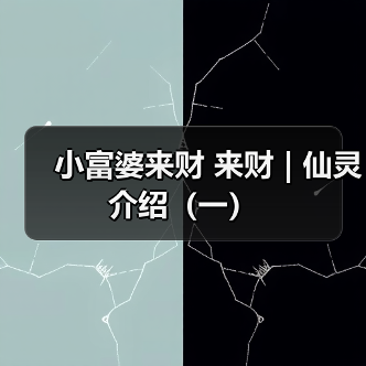 小富婆来财 来财 | 仙灵介绍（一）