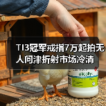 TI3冠军戒指7万起拍无人问津折射市场冷清(图2) TI3冠军戒指7万起拍无人问津折射市场冷清(图2)