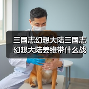 三国志幻想大陆三国志幻想大陆姜维带什么战魂好（图2）
