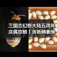三国志幻想大陆五周年庆典攻略丨含皓麟姜维全方位解析与阵容推荐(图4) 三国志幻想大陆五周年庆典攻略丨含皓麟姜维全方位解析与阵容推荐(图4)