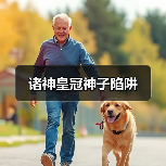 诸神皇冠神子陷阱（图3）