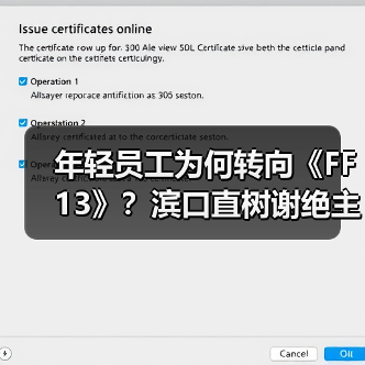 年轻员工为何转向《FF13》？滨口直树谢绝主导《FF6RE》！