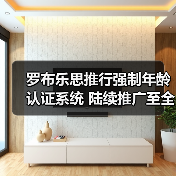 罗布乐思推行强制年龄认证系统 陆续推广至全球平台（图3）