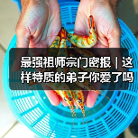 最强祖师宗门密报 | 这样特质的弟子你爱了吗（图2）