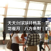天天台球球杆档案：青龙偃月｜八方来财｜鹤舞玄羽（图2）