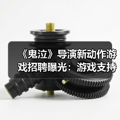 《鬼泣》导演新动作游戏招聘曝光:游戏支持在线玩法(图4) 《鬼泣》导演新动作游戏招聘曝光:游戏支持在线玩法(图4)
