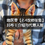 绝区零【2.4攻略征集】邦布丨介绍与代理人推荐（图2）