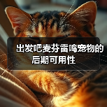 出发吧麦芬雷鸣宠物的后期可用性(图1) 出发吧麦芬雷鸣宠物的后期可用性(图1)