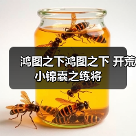 鸿图之下鸿图之下 开荒小锦囊之练将（图1）