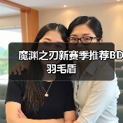魔渊之刃新赛季推荐BD羽毛盾（图2）