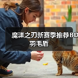 魔渊之刃新赛季推荐BD羽毛盾（图1）