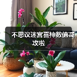 不思议迷宫喜神数值减攻啦