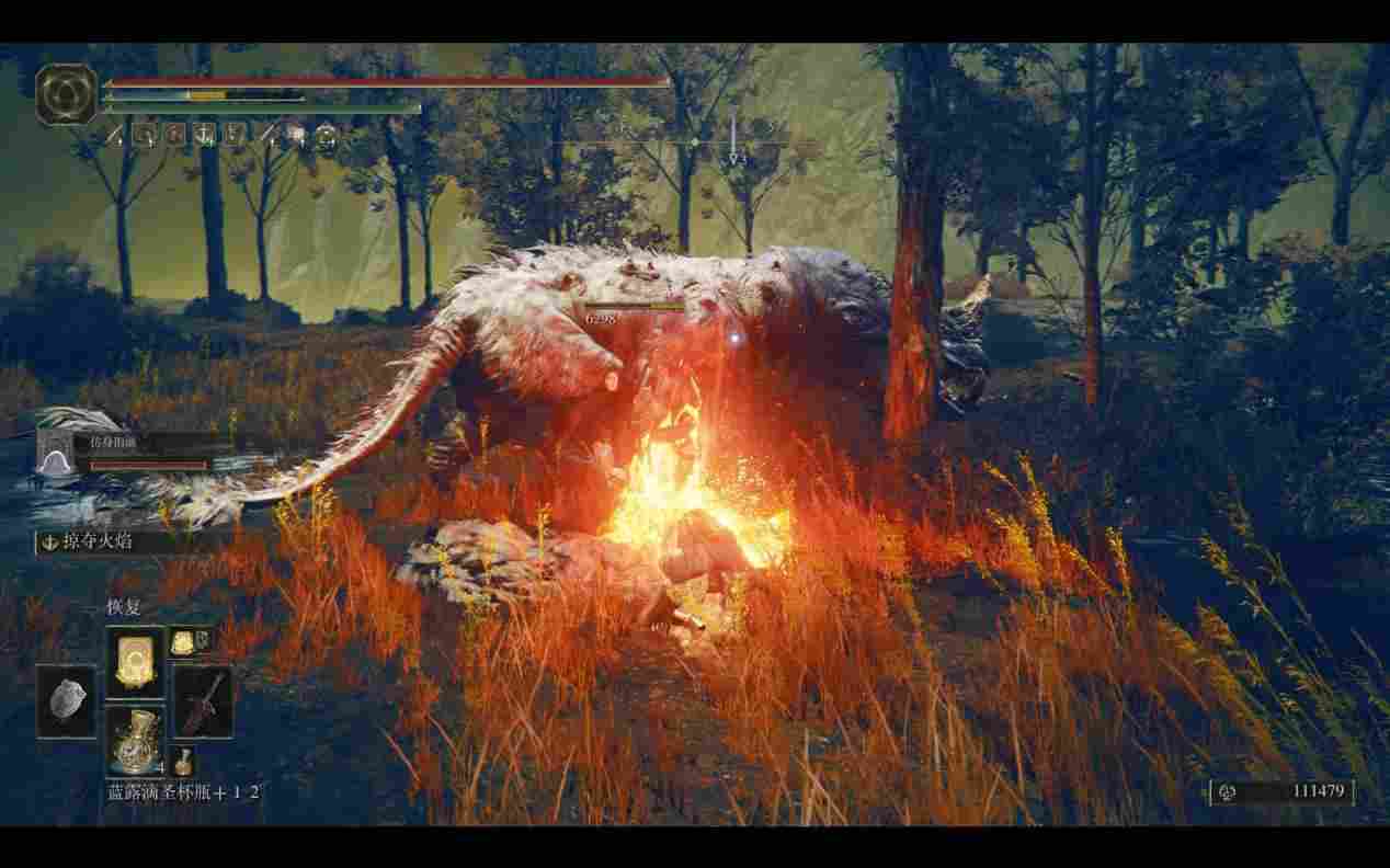 《艾尔登法环》DLC“黄金树幽影”评测:被美学击穿的游戏性