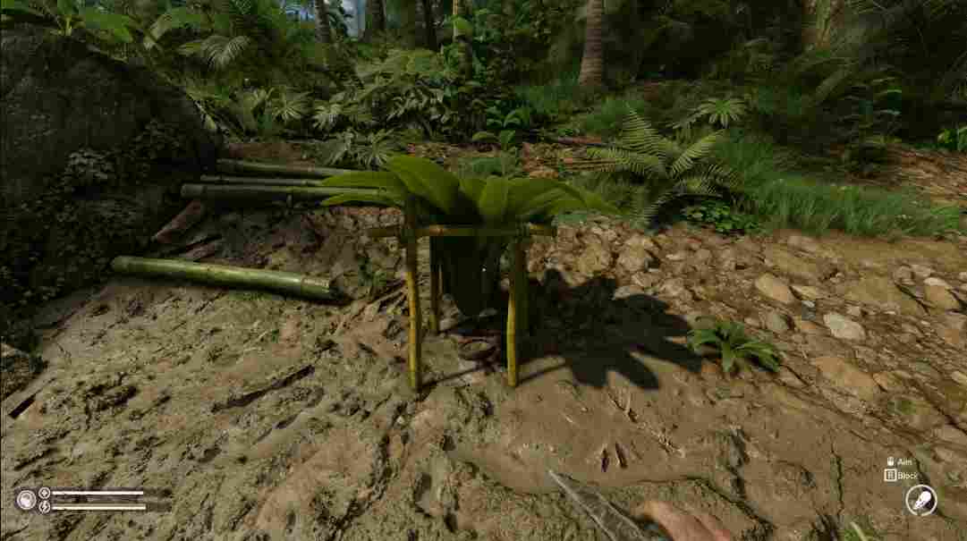 《绿色地狱》评测:恶心、残酷而又痛苦地求生