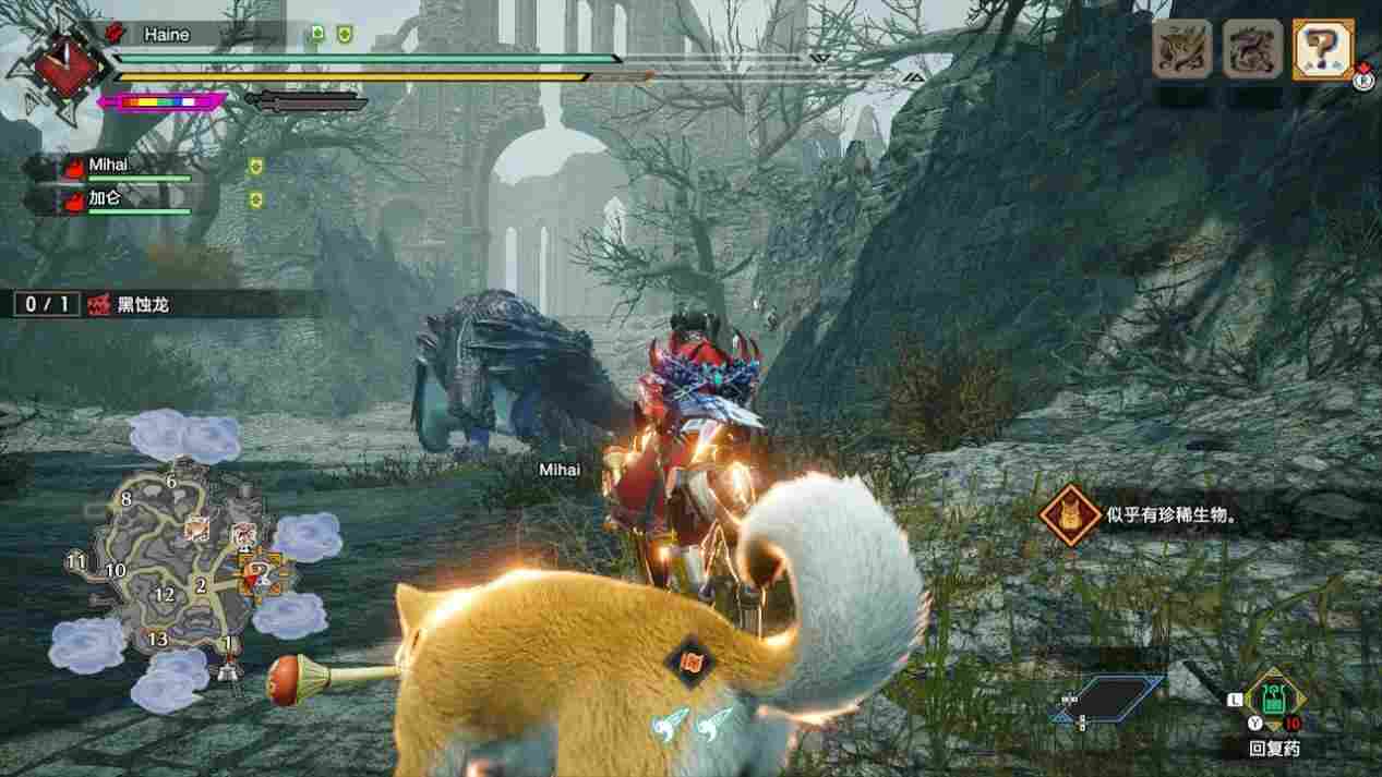 《怪物猎人：崛起 曙光》评测：如果护石能有属性下限就很好