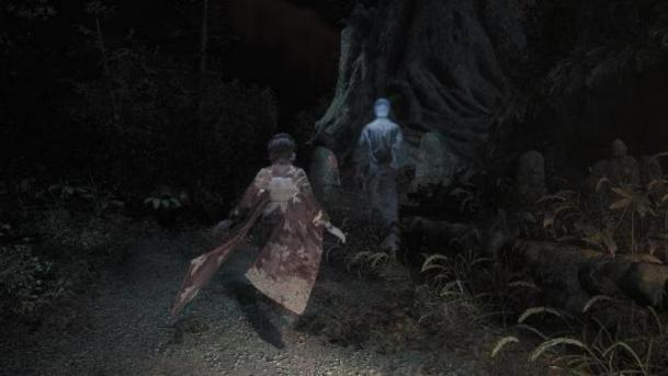 『零～红蝶～REMAKE 』 Nintendo Switch™ 2 下载版开放预购！