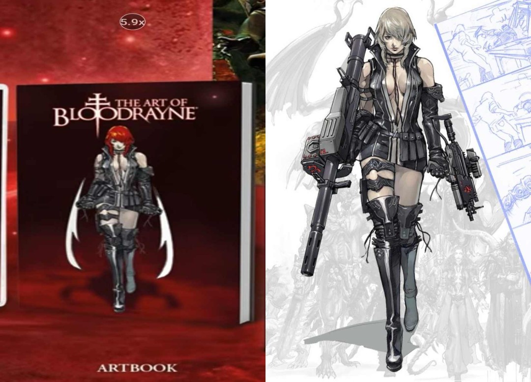 《吸血莱恩》设定集封面被指抄袭《忍者龙剑传2》