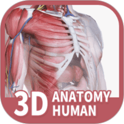 口袋人体解剖免费版2026