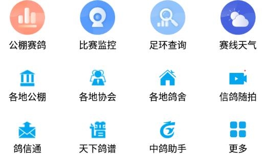 中鸽网信鸽赛事直播平台 中鸽网信鸽赛事直播平台