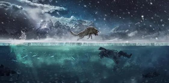 地瓜视频app软件 地瓜视频app软件