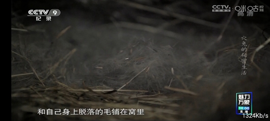 起帆TV盒子版 起帆TV盒子版