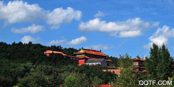 双阳融媒手机版 双阳融媒手机版